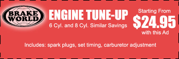 Engine Tune-up staring  from $24.95